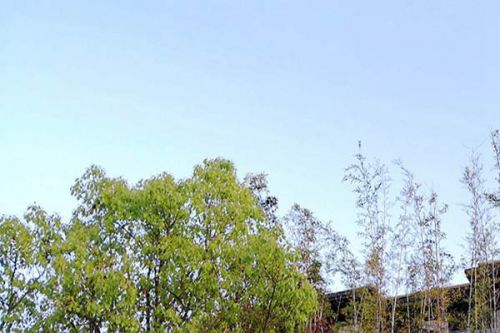生态环境部发布2025年6月上半月全国空气质量预报会商结果