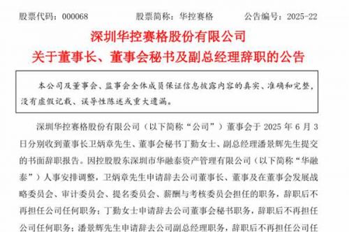 华控赛格董事长、董秘、副总经理同日辞职