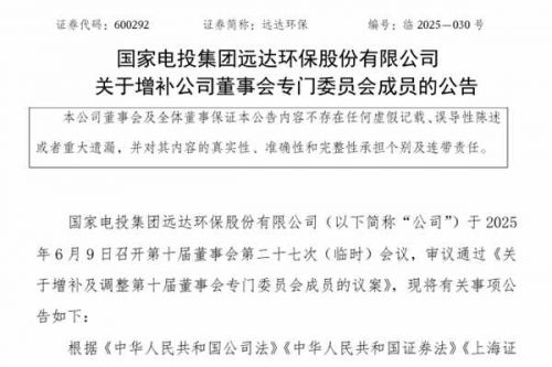 远达环保增补董事会专门委员会成员