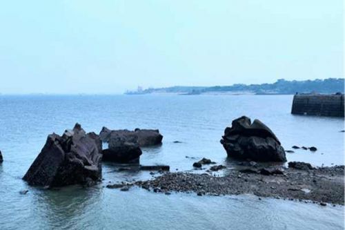 强化“三水统筹”，全面推进海河流域美丽河湖保护与建设