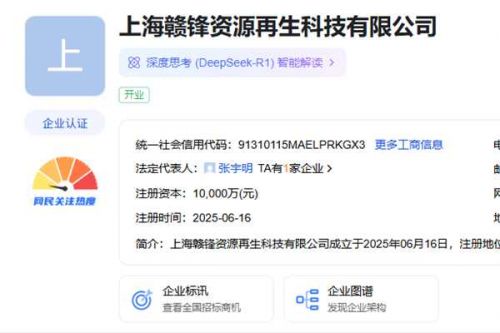 布局电池回收，赣锋锂业在上海成立新公司