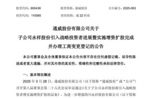 通威股份子公司永祥股份完成49.16亿元战略增资，引入11家投资者