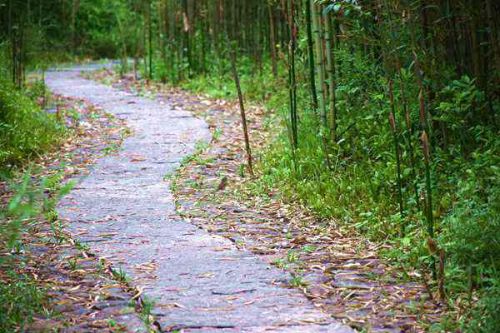 《云南省推进健康乡村建设实施方案》印发