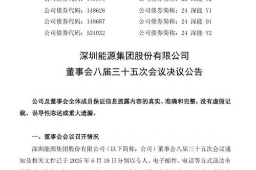 深圳能源聘任杨怿女士为副总裁