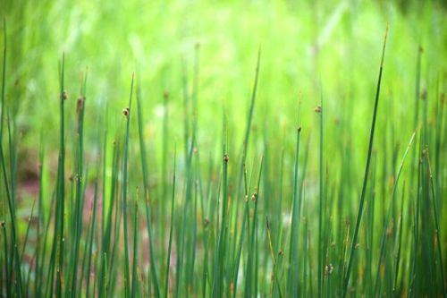 环保新质生产力 | 土壤型高负荷微生物滤床