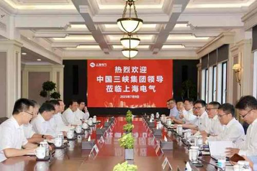 上海电气与中国三峡集团深化能源领域务实合作