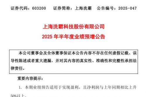 上海洗霸：预计2025年上半年净利同比增长136.47%-181.85%