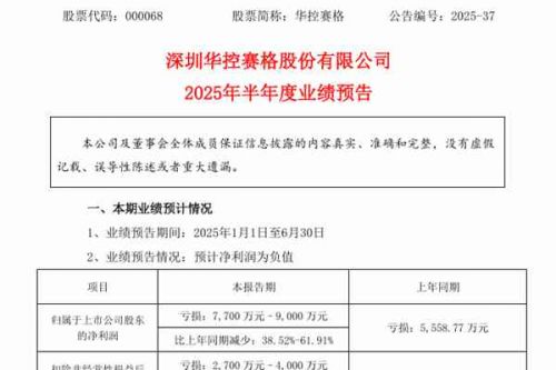 华控赛格：预计2025年上半年净利润亏损7700万元-9000万元