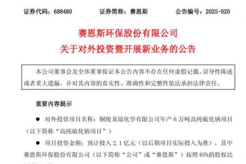 赛恩斯拟投建年产6万吨高纯硫化钠项目，抢占特种材料市场