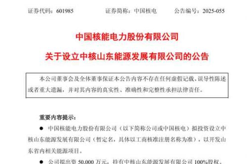 中国核电拟5亿元设立全资子公司，开发山东省内能源项目