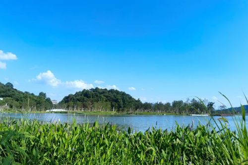 1.79亿！中信环境技术中标常德经开区东区工业污水处理厂建设项目(EPC＋O)