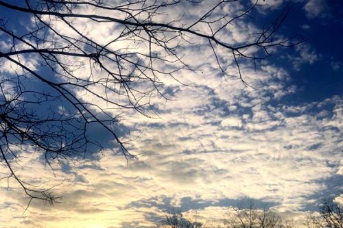 扬州启动废气整治“百日攻坚”