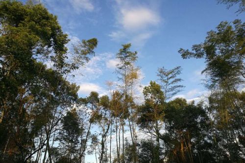 携手共护碧水安澜！阳江、茂名签订跨界流域突发水污染联防联控合作协议
