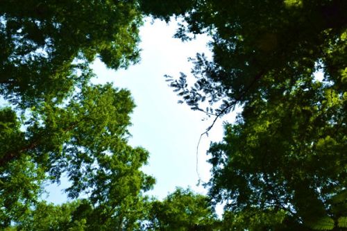 月度盘点｜2025年8月生态环境政策汇总