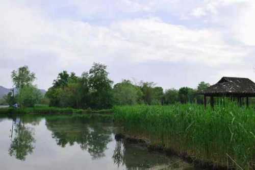 滁州市南谯区坚持“查控治”系统推进农业面源污染防治