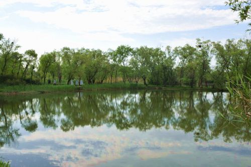 再生水利用重点城市经验案例——创新再生水利用技术和模式，实现一水多用高质利用