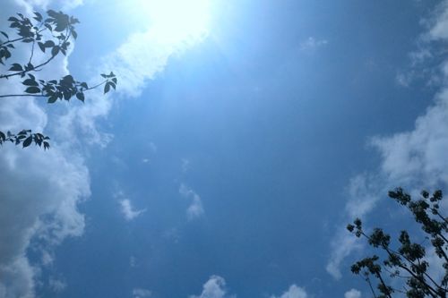 湖南海川数字运营管理有限公司综合能源管理服务供应商比选公告