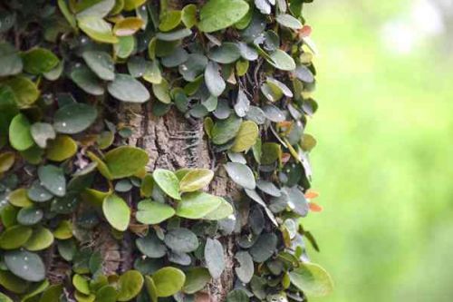 全国已建成“两级、三类、一清单”的生态环境分区管控体系