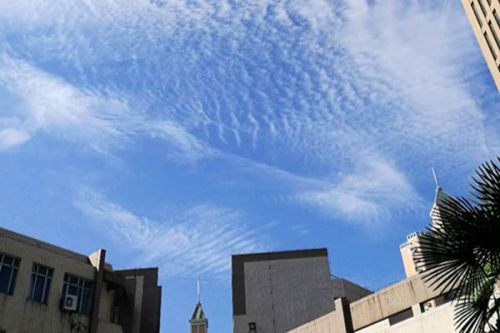 月度盘点｜2025年9月生态环境政策汇总