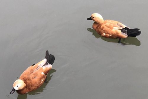 《湖州市碳普惠方法学管理办法》政策解读