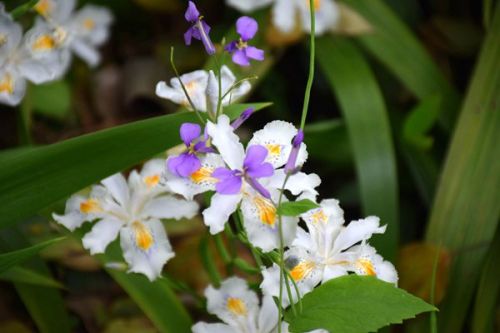 淮北市三举措提升土壤污染重点监管单位管理水平