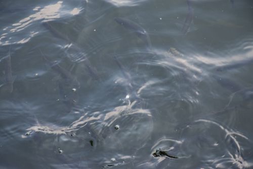 舟山市普陀区逐“绿”前行 擘画绿色修船新图景