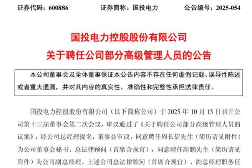 国投电力聘任董事会秘书、副总经理等