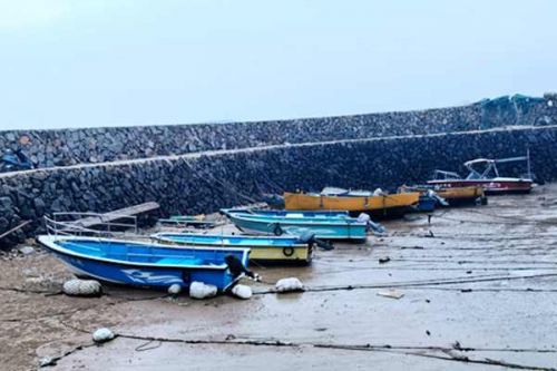 国家绿色发展基金成功参与中远海能定增项目 资金全部用于制造11艘绿色低碳清洁船舶