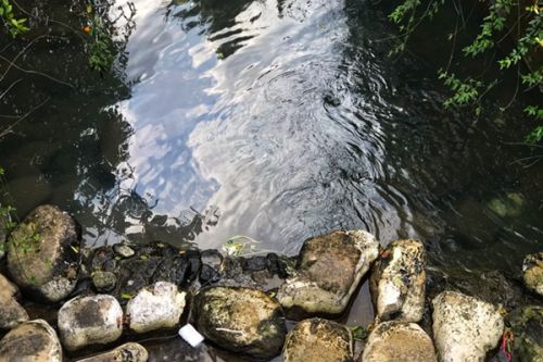 团体标准《钒钛磁铁矿选矿固体废物生态回填利用技术规范》参编单位征集！