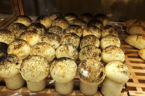 执法大队：筑牢餐厨废弃物管理防线