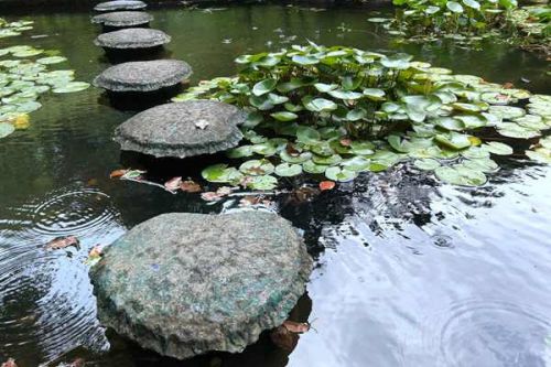 《皖豫省际毗邻地区合作发展实施方案》印发 三项举措协同推进生态环境保护