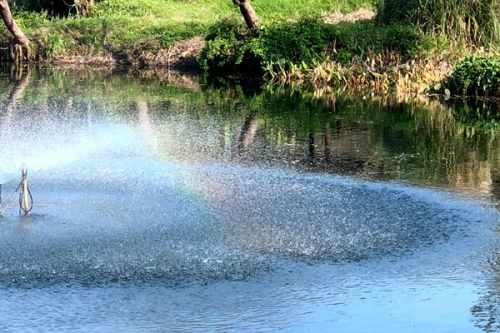 池州市石台县生态环境分局扎实开展农村中小微水体监测调查工作