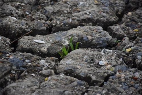 和田地区全域开展危废规范化评估 守护生态环境安全