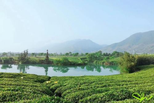 柳州市融安县大良镇里居屯农村生活污水处理设施整改典型案例