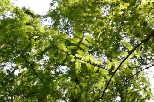 《江西省重点管控新污染物清单（2025年版）（征求意见稿）》公开征求意见！