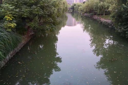 碳路先锋｜国内首例！扬州污泥发电有妙招