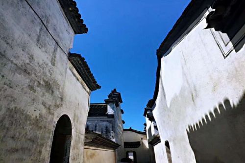 北京：国内首例公共机构公开招标集中带量采购绿电项目在京落地 北京市公共机构绿电应用迈入市场化规模化新阶段