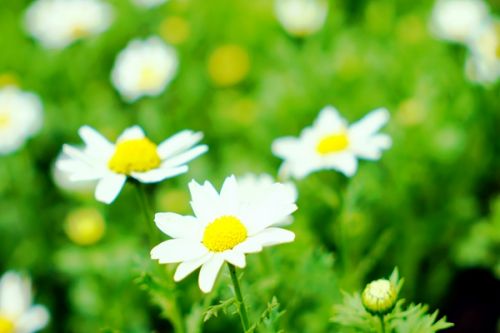 陕西开始征集2026年度生态环境地方标准制修订项目建议！