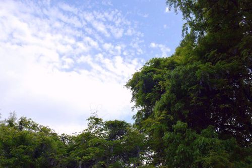 2025年度工业节能降碳标准研究项目公示！