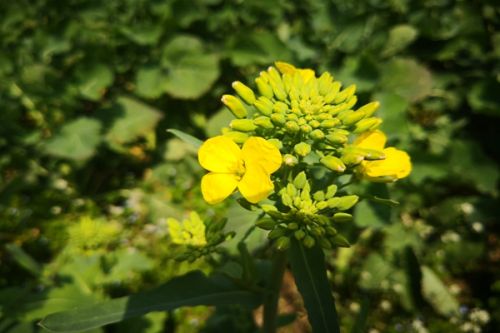 北京市机关事务管理局：中小型公共机构“打包托管”节能降碳的成功实践——以房山区为例