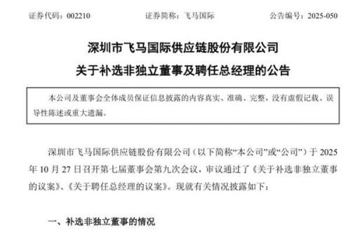 飞马国际聘任赵力宾为总经理