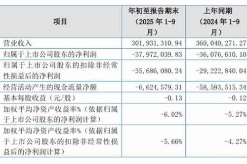 新安洁：2025年前三季度净利润-3797.20万元，同比下降5.25%
