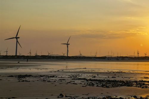 水电十二局中标瑞安市瓯飞浅海滩涂渔光互补项目