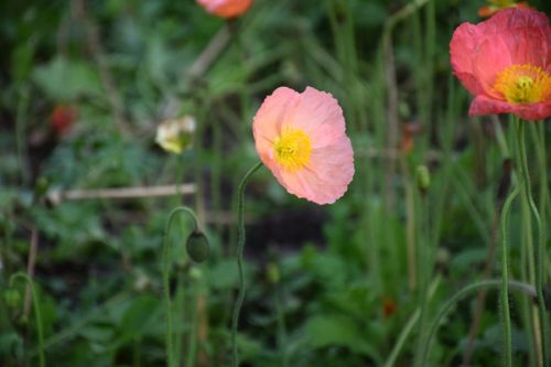 昌吉州生态环境局扎实推进“十五五”生态环境保护规划编制工作