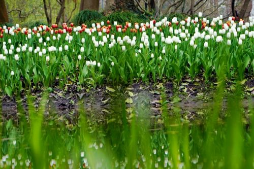 苏州市以“减污降碳协同增效、因地制宜循环利用”理念高标准推进农村生活污水资源化利用典型案例