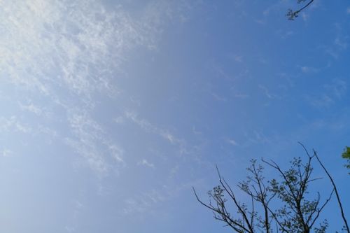 新疆公告预警区域重污染天气！