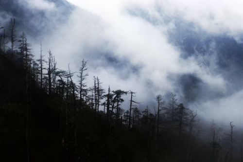 国家（深圳）气候投融资项目库第四批拟入库项目名单公示