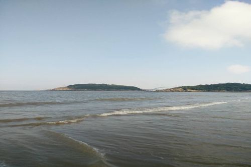 【干货】活性污泥系统中自养型与异养型微生物的差异解析