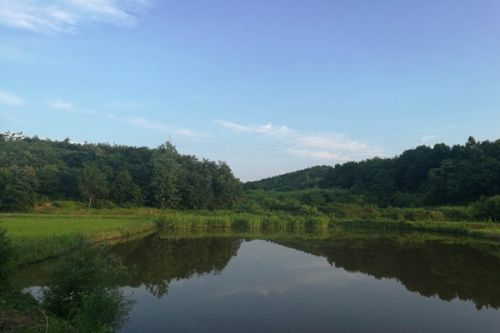 百年水厂的华丽蜕变 | 南京北河口水厂深度处理改造二期