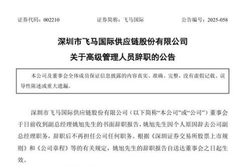 飞马国际副总经理辞职